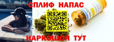 гидра Берёзовский